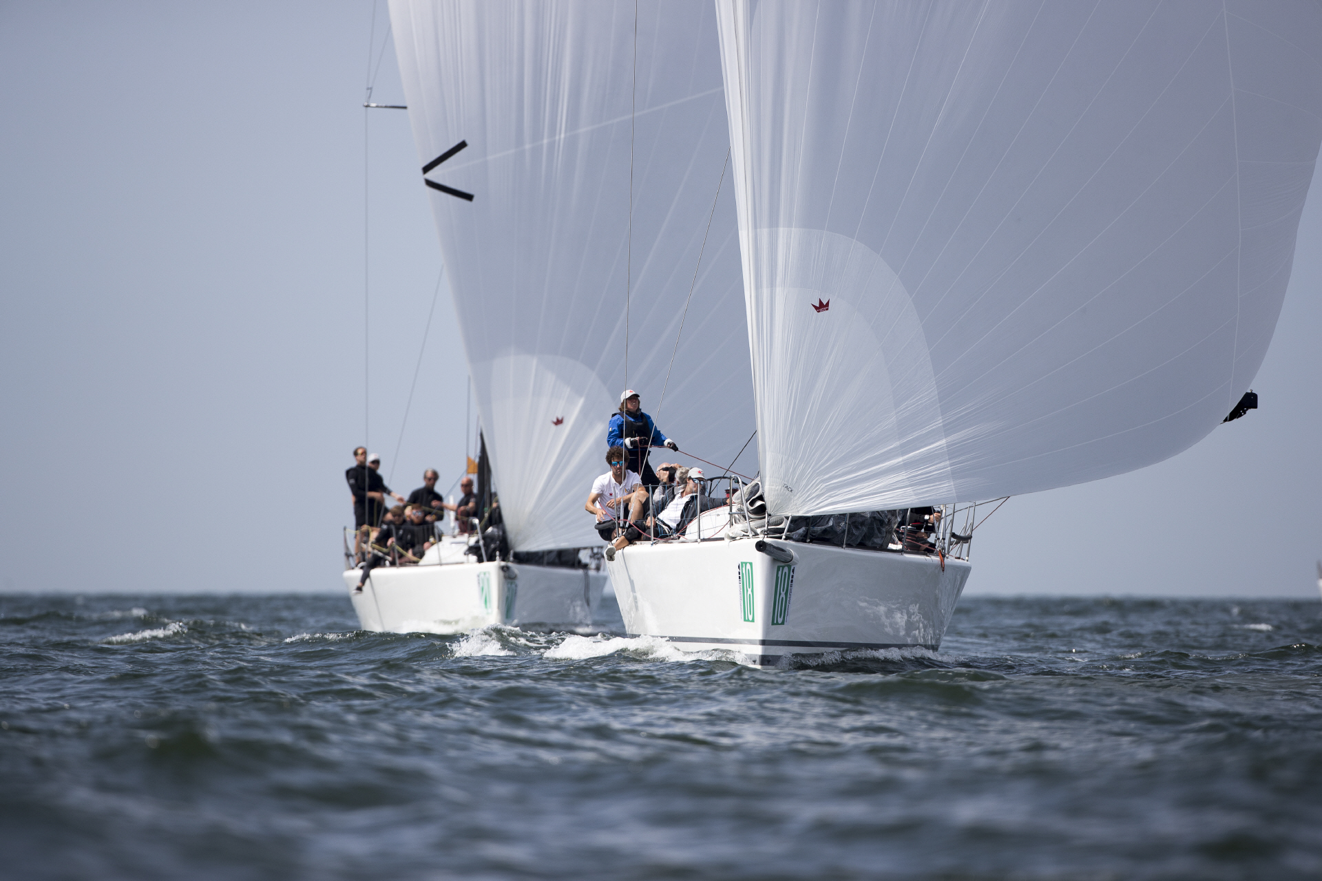 Segel Regatta